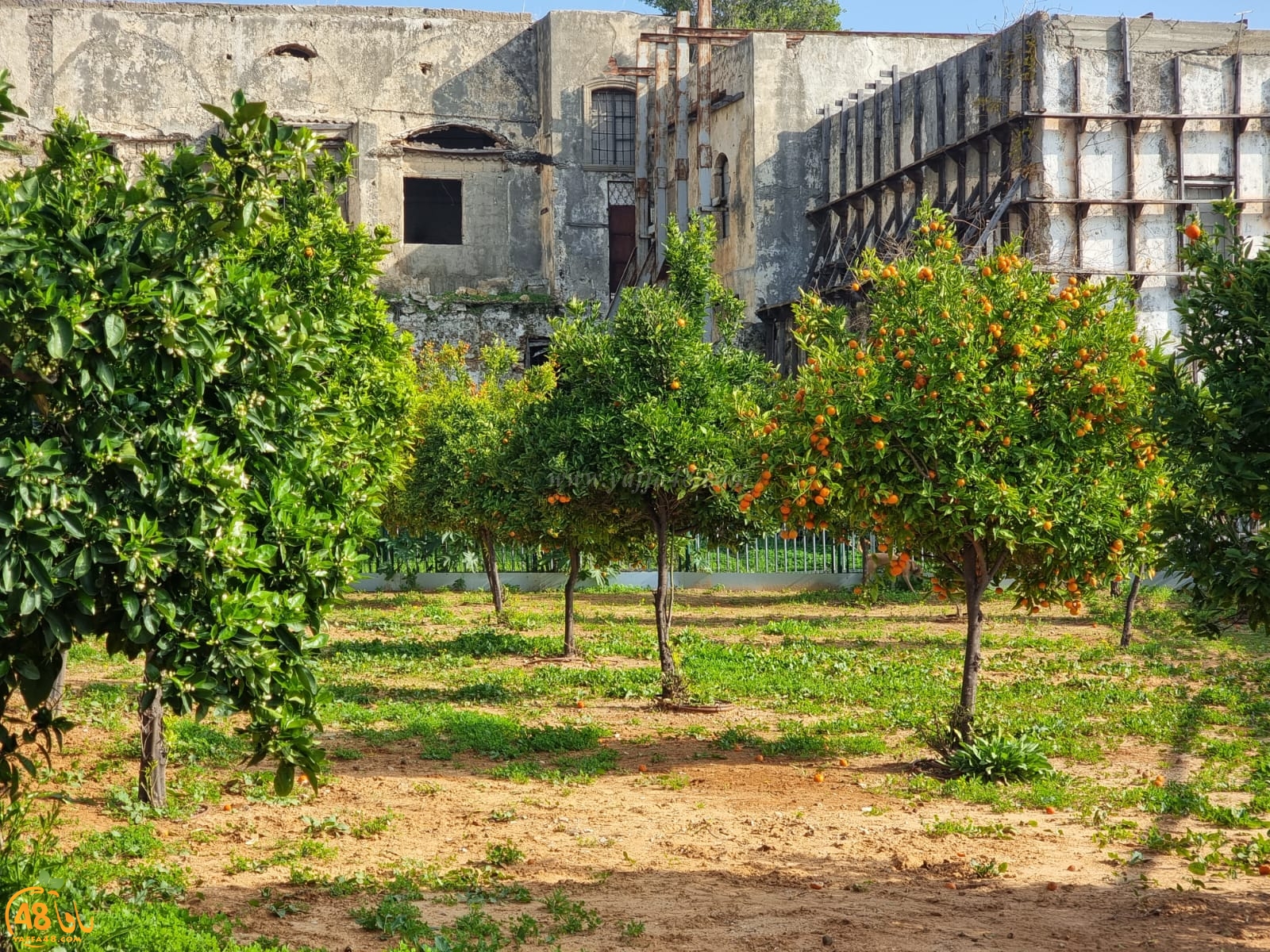 WhatsApp Image 2022-01-08 at 1.29.40 PM (1).jpg